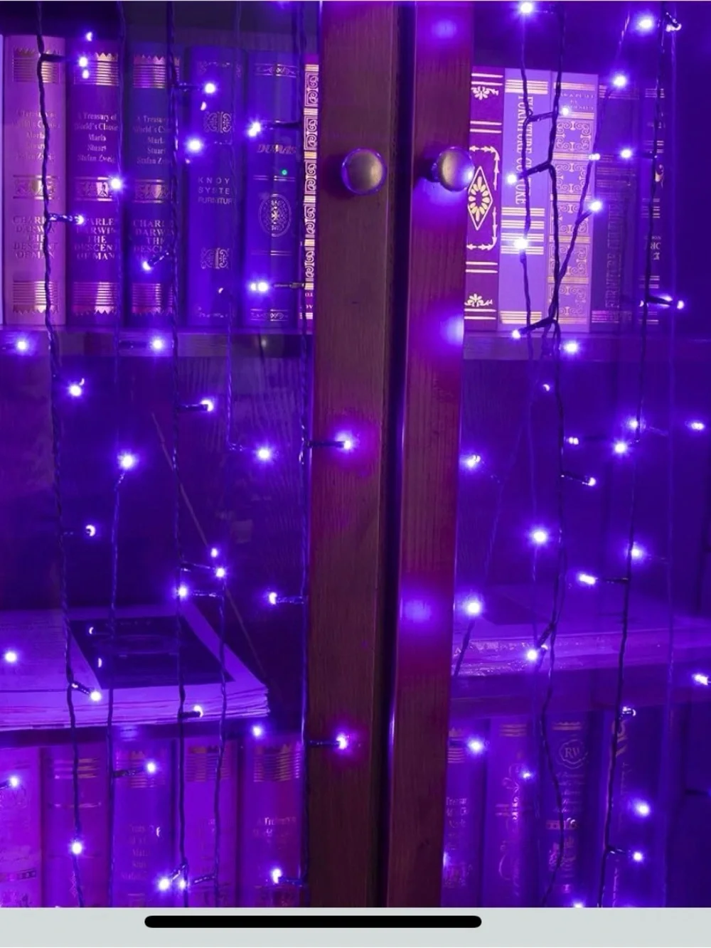 🎵 🎶Musical, Purple, LED String Lights for Home Party Decorations🎵🎶